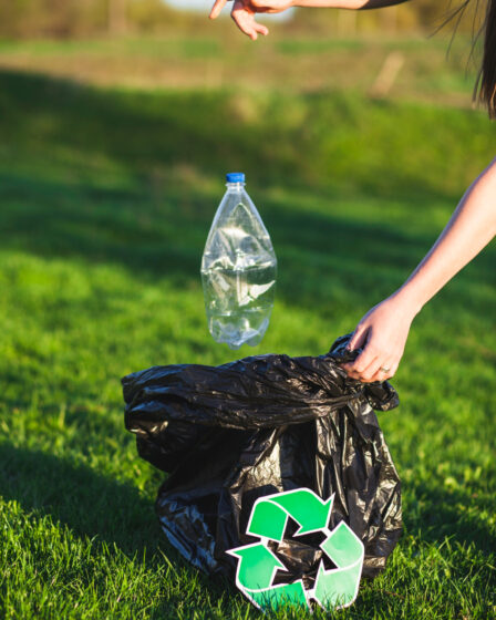 A Importância da Reciclagem para o Meio Ambiente