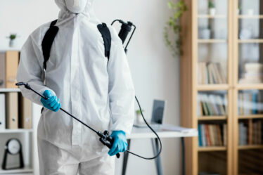 Dedetização Preventiva: Proteja Seu Condomínio de Pragas