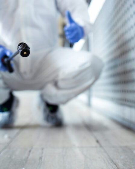 Desratização Profissional: Técnicas Eficazes e Locais de Risco