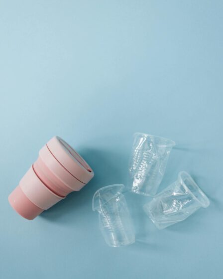 Consumo Consciente: O Que É e Por Onde Começar